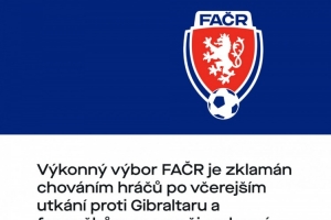 捷克足协向球迷致歉：绍切克将不再任队长，球员们也不会获得奖金