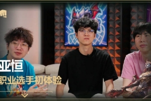 亚恒内测版职业选手体验交流会 957：要不改成关羽吧 反正拿镰刀