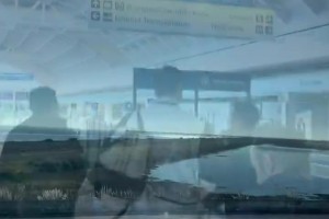 被评为4星高中生！张博源访问第二站NCAA加州大学伯克利分校